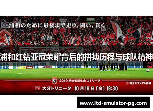 浦和红钻亚冠荣耀背后的拼搏历程与球队精神
