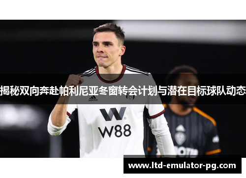 揭秘双向奔赴帕利尼亚冬窗转会计划与潜在目标球队动态