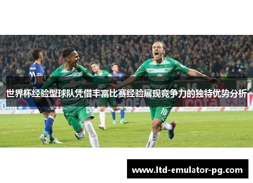 世界杯经验型球队凭借丰富比赛经验展现竞争力的独特优势分析